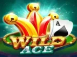 AFKSpin Casino screenshot